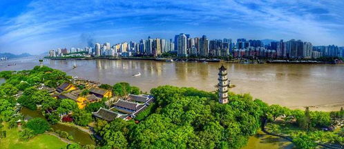 壽縣青少年龍舟隊出征全國賽，溫州賽場展風采