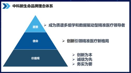 知名品牌咨詢公司行舟品牌服務模塊解析 聚焦品牌核心理念與軟件信息技術咨詢服務