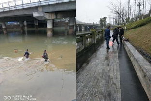區畜牧局重拳出擊 多措并舉開展漁業“打非”專項行動，規范畜牧漁業飼料銷售市場